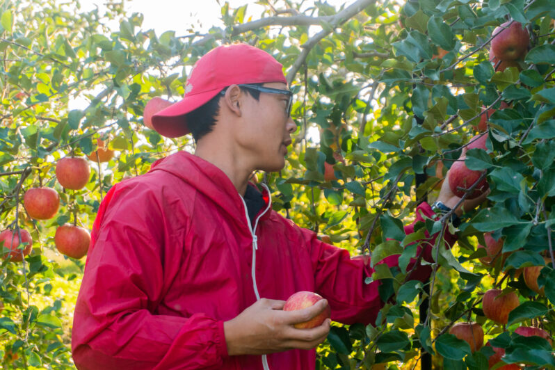 人生の師匠がいる米沢で
りんご百本を育てる